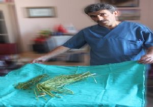 BEAH'tan kocakarı ilacı uyarısı
